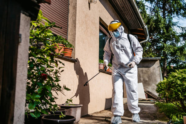 Best Pest Control Near Me  in Menlo Park Terrace, NJ
