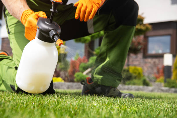 Best Cockroach Control Services  in Menlo Park Terrace, NJ