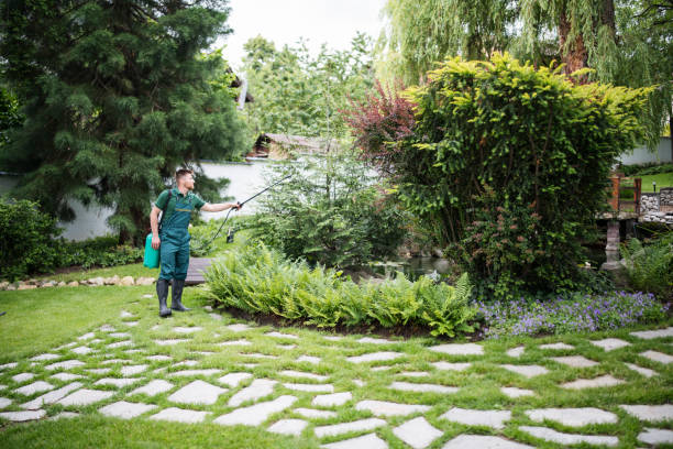 Best Ant Control Services  in Menlo Park Terrace, NJ