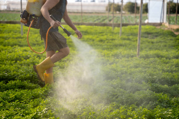 Best Wasp Removal Services  in Menlo Park Terrace, NJ