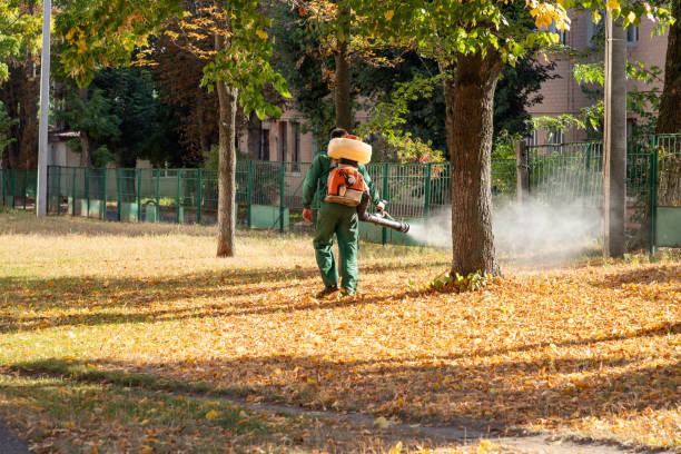 Best Pest Removal Services  in Menlo Park Terrace, NJ